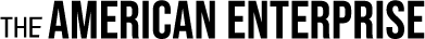 The American Enterprise logo